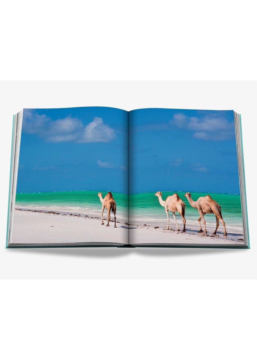 Saudi Arabia: Red Sea, the Saudi Coast - Pop Up Concepts