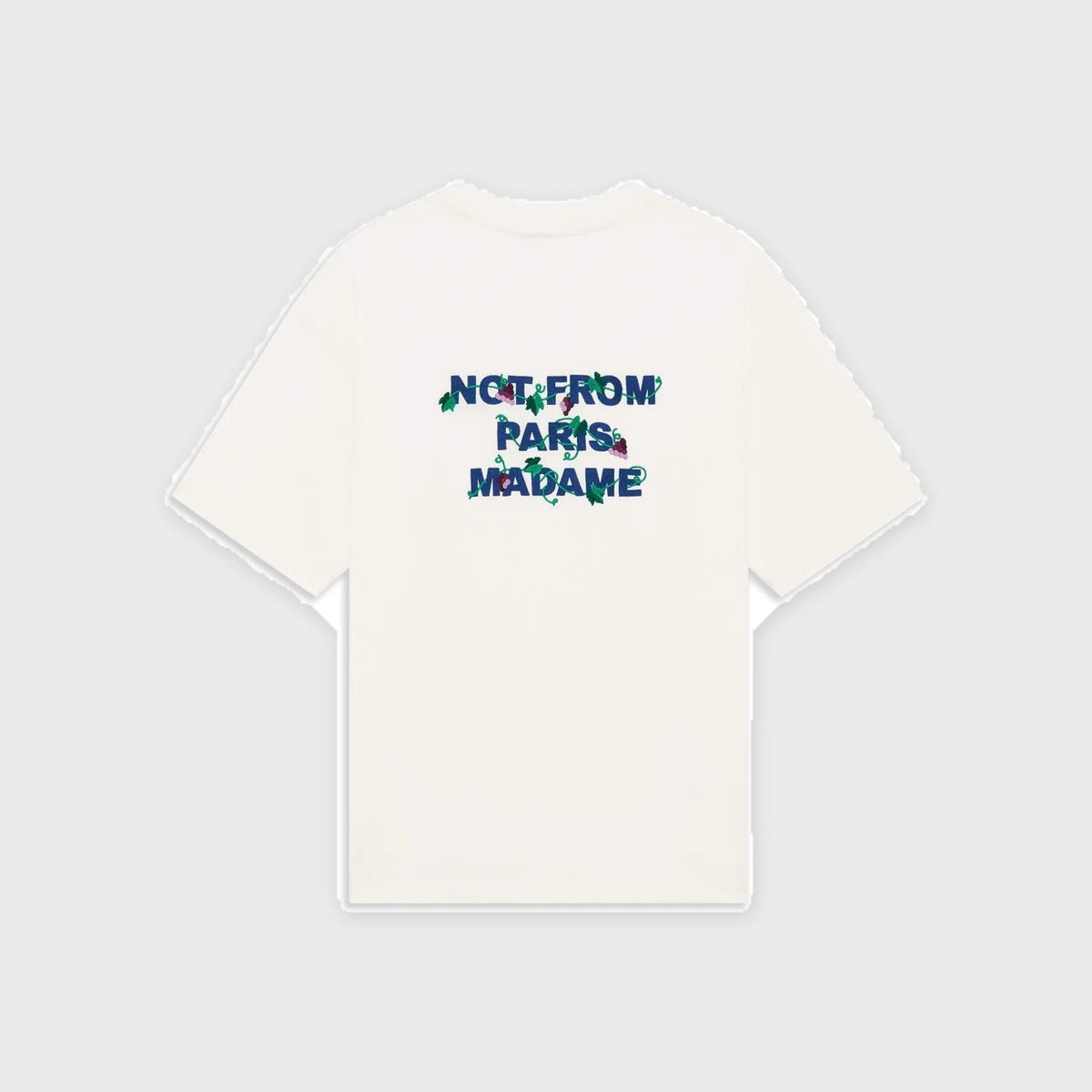 Embroidered Vine Slogan T-shirt-Offwhite