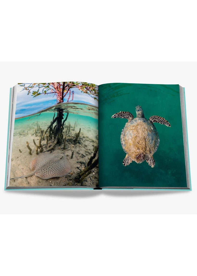 Saudi Arabia: Red Sea, the Saudi Coast - Pop Up Concepts