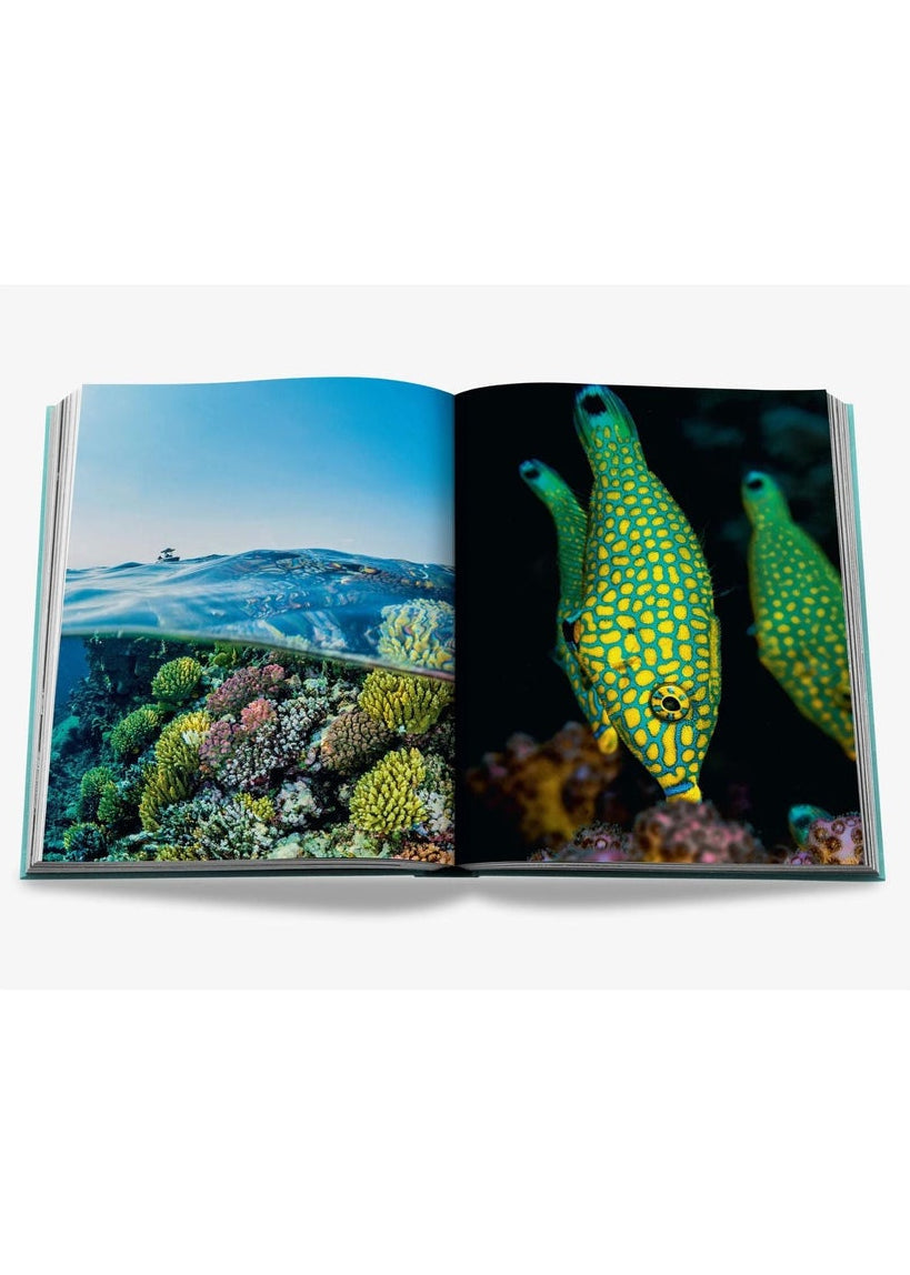 Saudi Arabia: Red Sea, the Saudi Coast - Pop Up Concepts