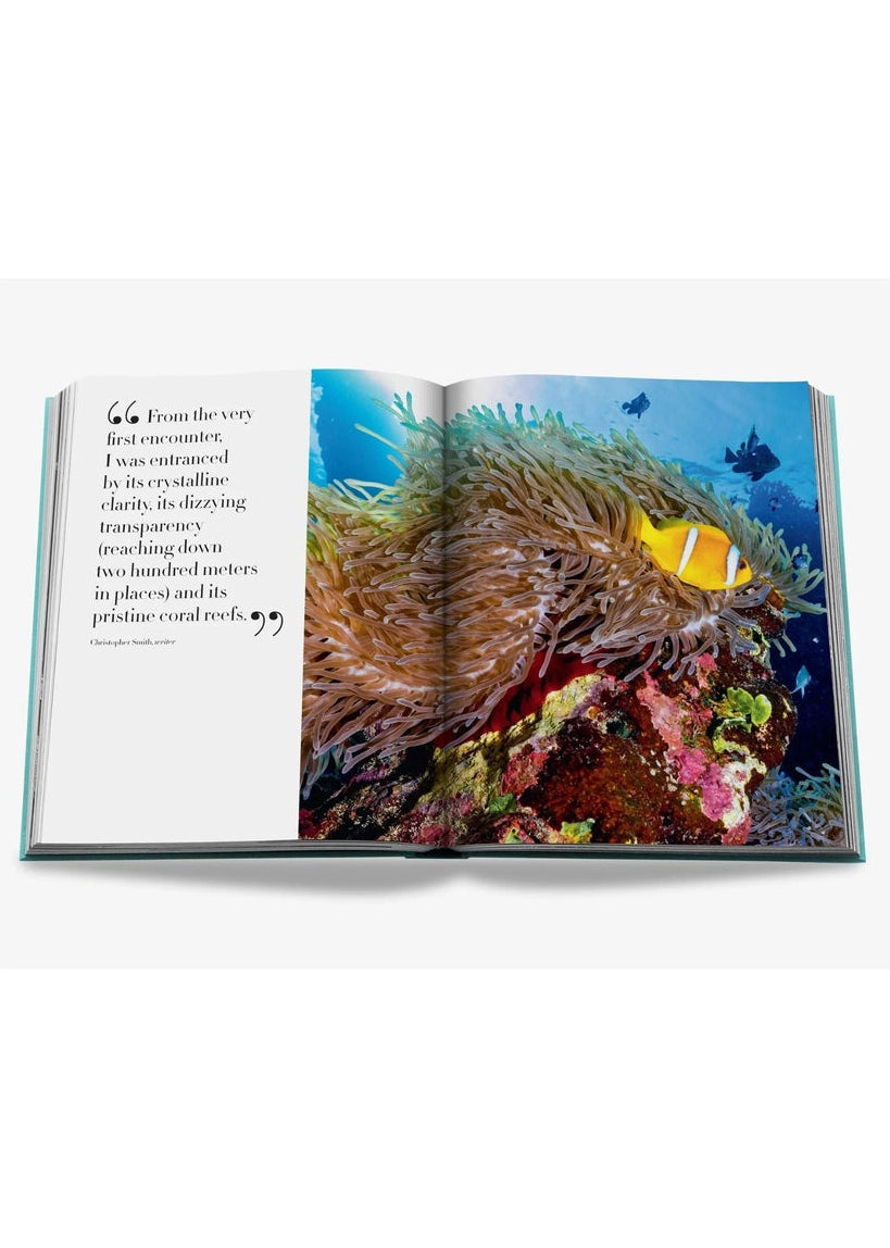 Saudi Arabia: Red Sea, the Saudi Coast - Pop Up Concepts