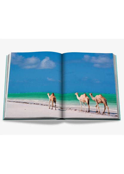 Saudi Arabia: Red Sea, the Saudi Coast - Pop Up Concepts